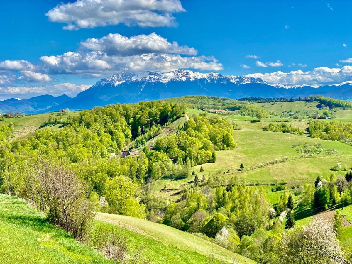 Green Hill Panoramic Poiana Marului  Exterior photo