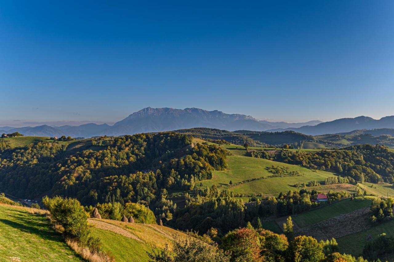 Green Hill Panoramic Poiana Marului  Exterior photo