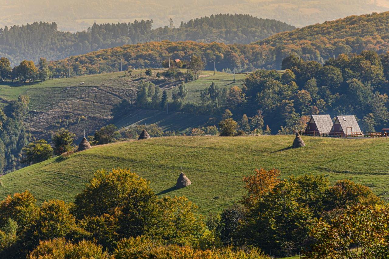 Green Hill Panoramic Poiana Marului  Exterior photo