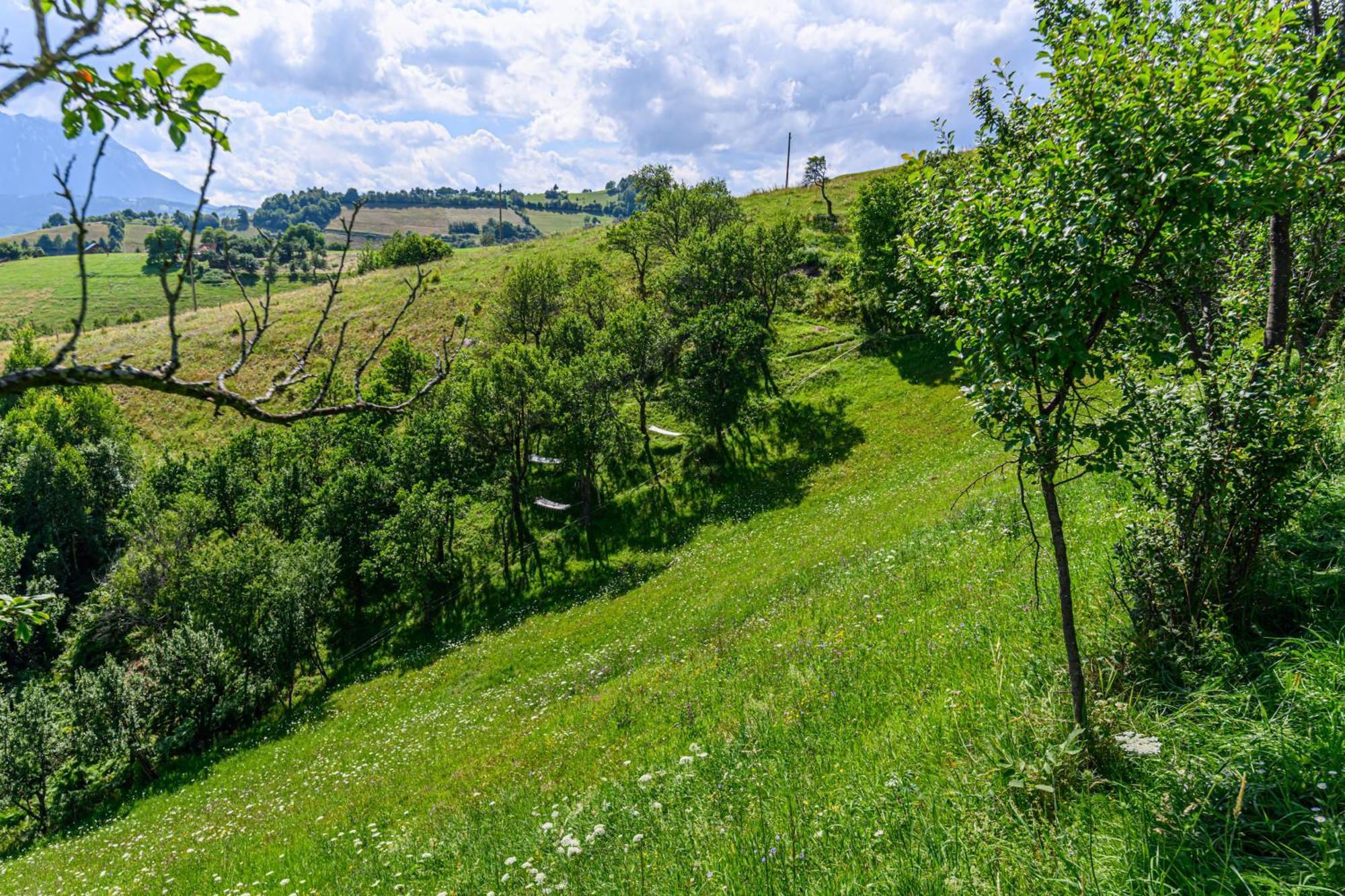 Green Hill Panoramic Poiana Marului  Exterior photo