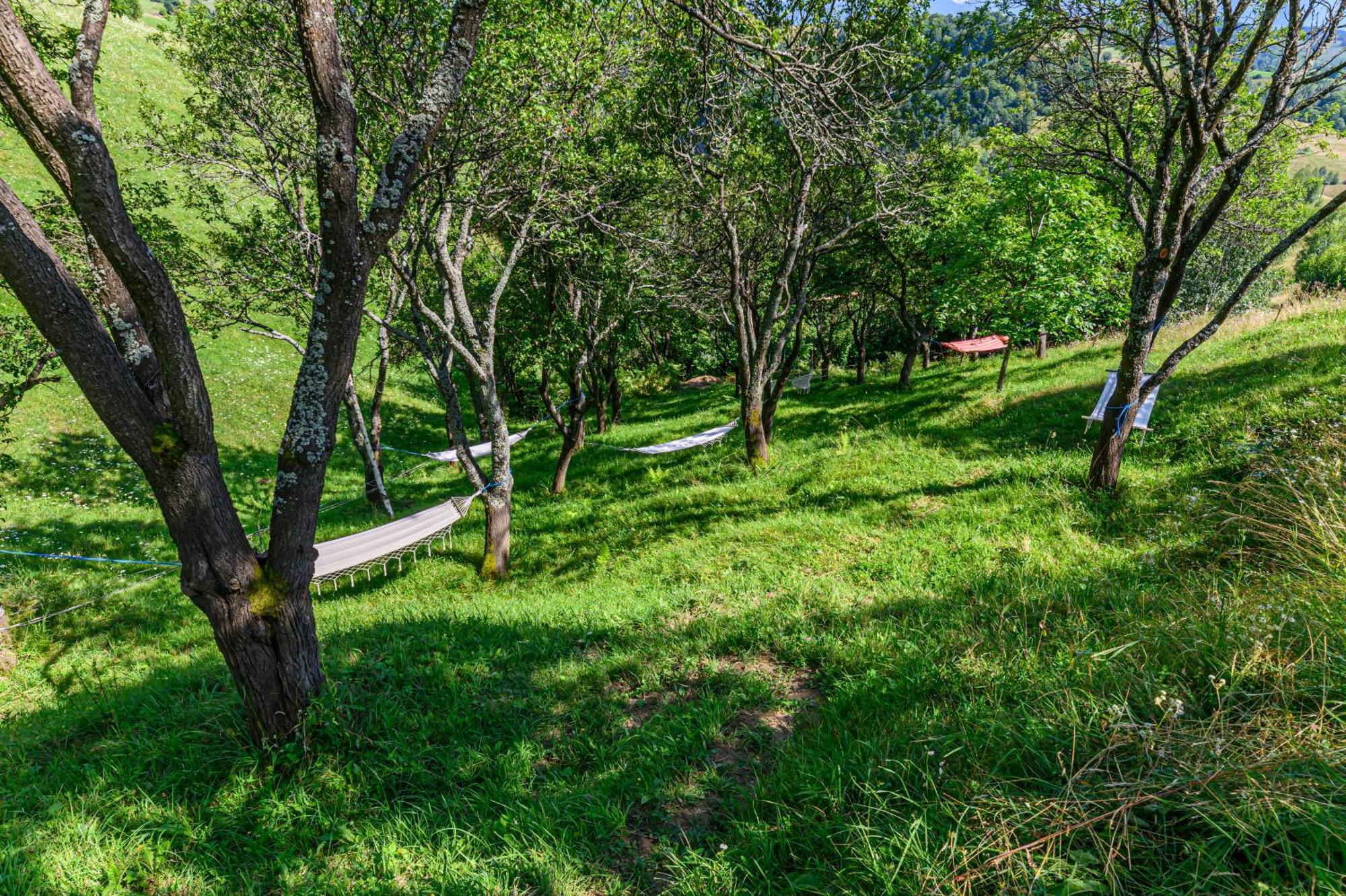 Green Hill Panoramic Poiana Marului  Exterior photo
